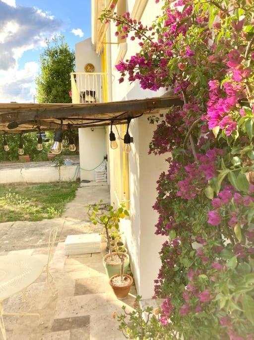 La Suite De La Maison Jaune Montpellier Exterior foto
